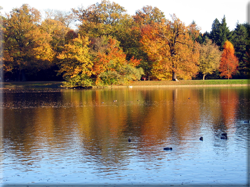 foto Parco Karlsaue in Autunno